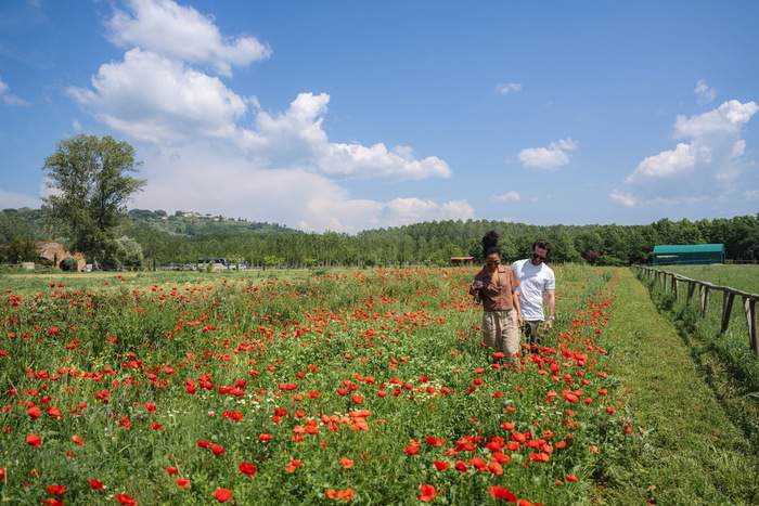 Celebrity Cruises, Shore Excursions 1, Copyrights - CEL.jpg